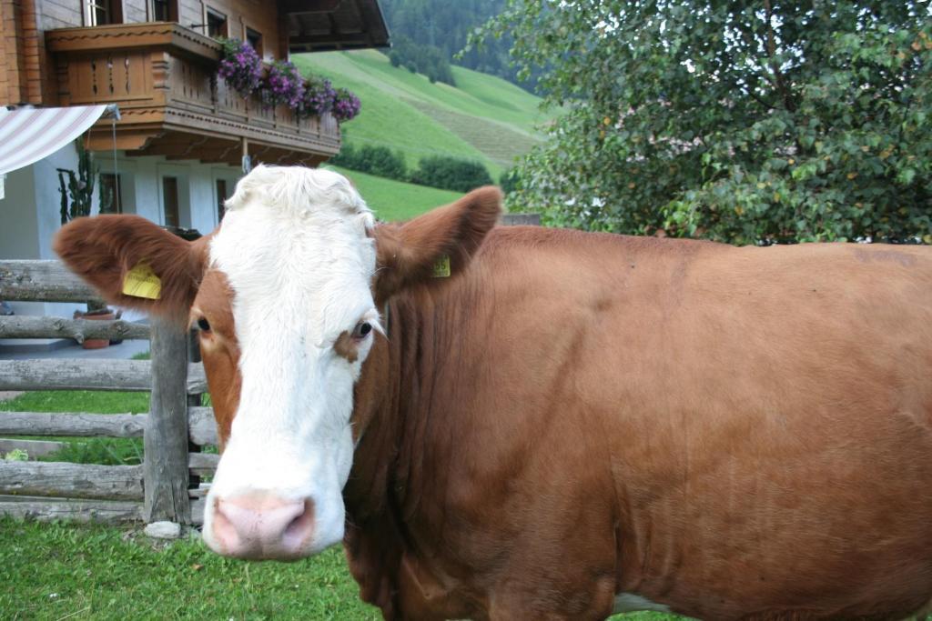 Garni Biancaneve Ruffre-Mendola Kültér fotó